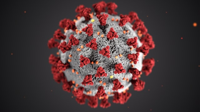 Corona Virus (Photo by CDC on Unsplash)